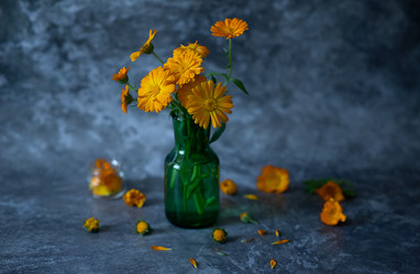 Similar image 21716914