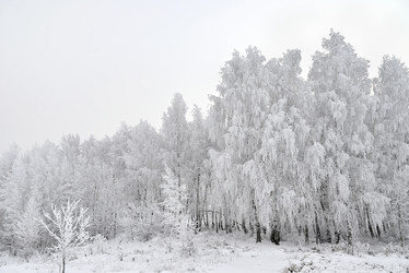 Similar image 21716927