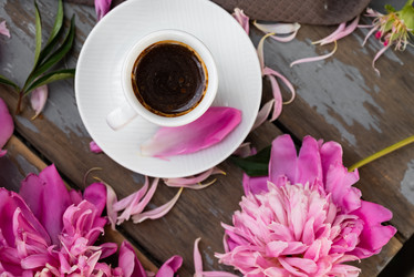 Similar image 21716932