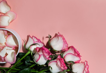 Similar image 21716974