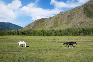 Similar image 21714312