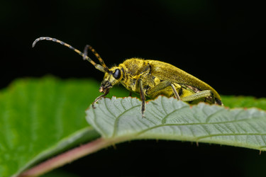 Similar image 21714320