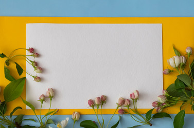 Similar image 21716982