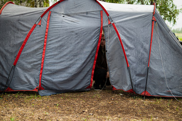 Similar image 21716993