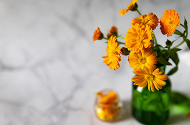 Similar image 21716997