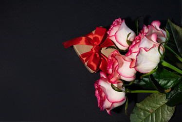 Similar image 21717005