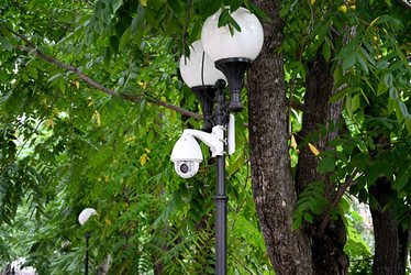 Similar image 21717036