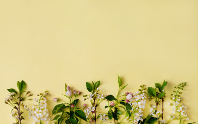 Similar image 21717040