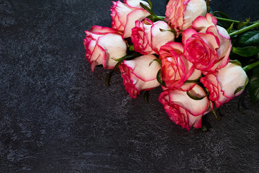 Similar image 21717050