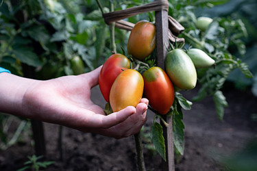 Similar image 21717073