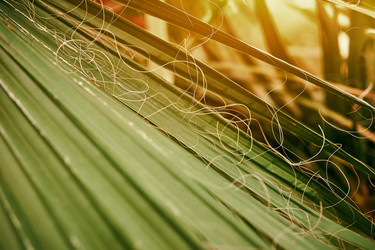 Similar image 21713046