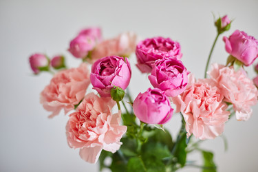 Similar image 21713062