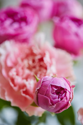 Similar image 21713063