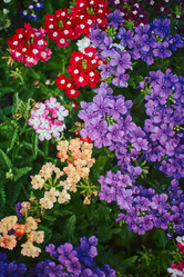 Similar image 21713082