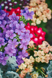 Similar image 21713083