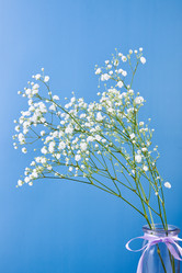 Similar image 21713086