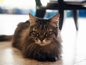 Similar image 21715279