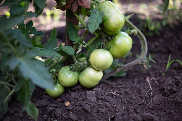 Similar image 21717079