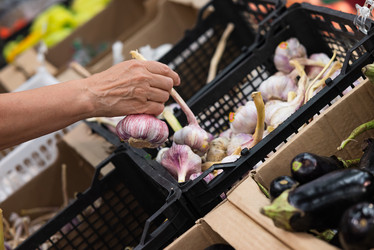 Similar image 21717081