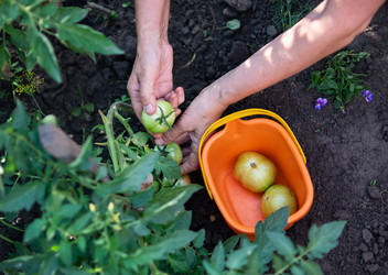 Similar image 21717199