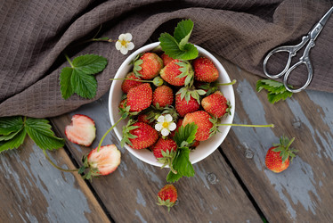 Similar image 21717201