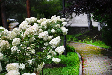 Similar image 21717205