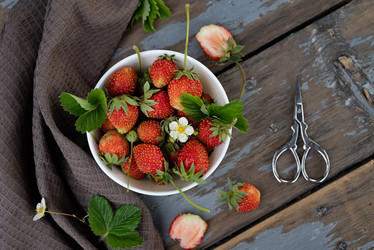 Similar image 21717206