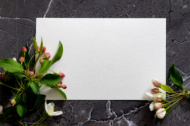 Similar image 21717212