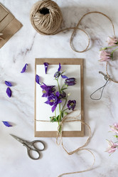 Similar image 21717089