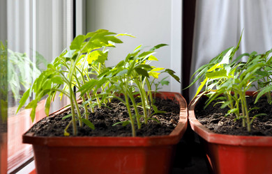 Similar image 21715281