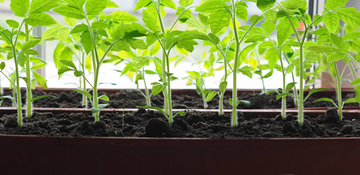 Similar image 21715282