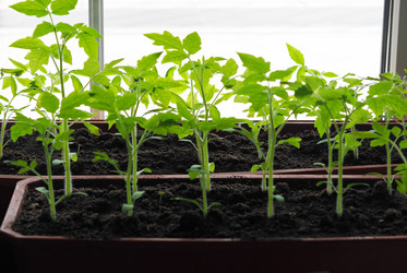 Similar image 21715283