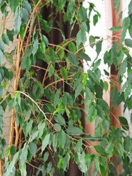 Similar image 21715284