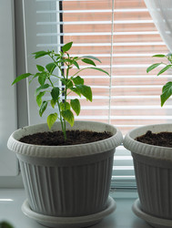 Similar image 21715285