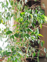 Similar image 21715286