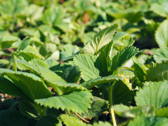 Similar image 21715288