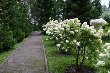 Similar image 21717118