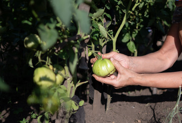 Similar image 21717131