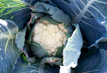 Similar image 21717134