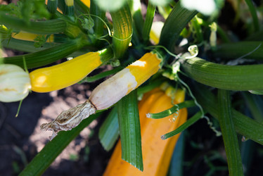 Similar image 21717138