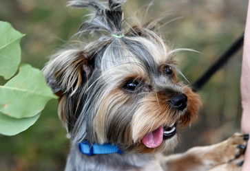 Similar image 21717140