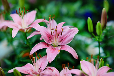 Similar image 21717142