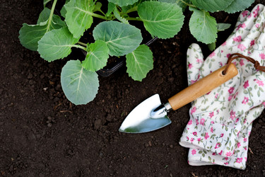 Similar image 21717145