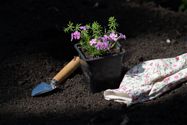 Similar image 21717147