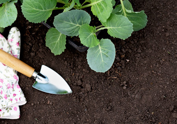 Similar image 21717148