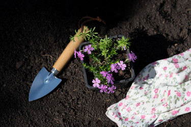 Similar image 21717150