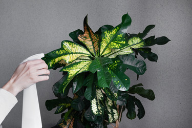 Similar image 21717151