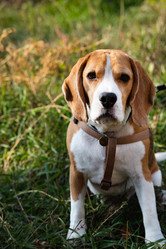 Similar image 21717152