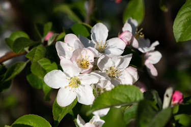 Similar image 21717153