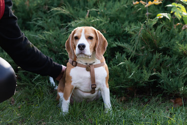 Similar image 21717157